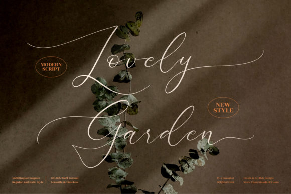 Beautiful Calligraphy Font for Web Design
