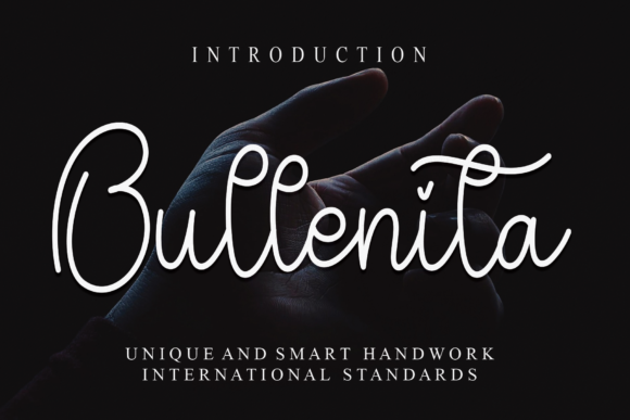 Bullenita: A Timeless Font for Business Branding