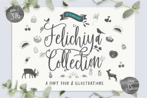 Felichiya Collection: A Font for Creative Campaigns