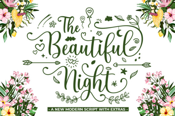 The Beautiful Night